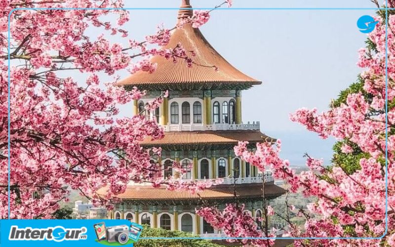 Hoa nở hồng rực xung quanh chùa Wuji Tian yuan. Hoa nở hồng rực xung quanh chùa Wuji Tian yuan.