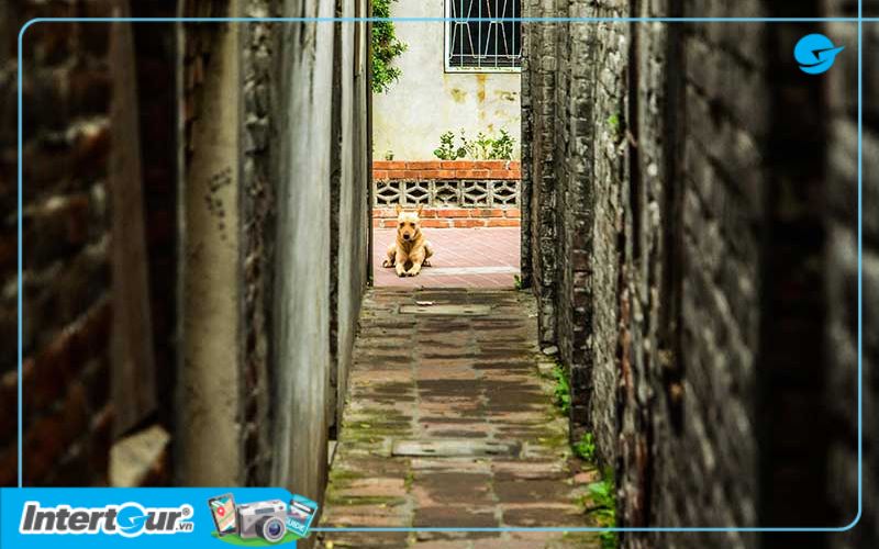 Đây chính là con Ngõ sờ ngực độc đáo chỉ một mình làng Lukang có. Ngõ sờ ngực
