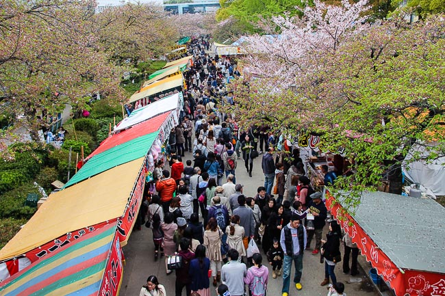 du lịch Nhật Bản ngắm hoa Anh Đào