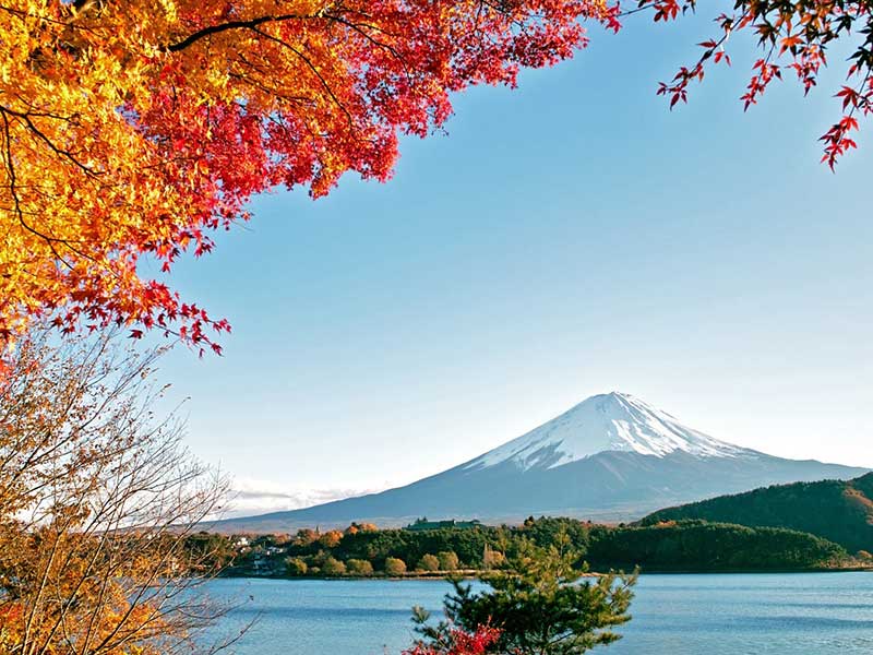 Mùa thu phong cảnh núi Phú Sĩ lãng mạn, nên thơ