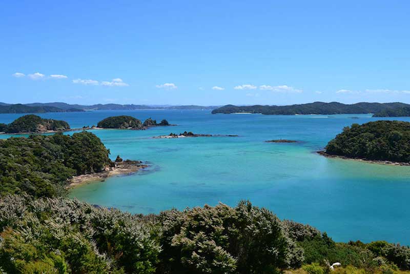 673af939-4610-4ef4-ad2c-a57ef33cf402-1 ve-dep-bon-mua-o-new-zealand