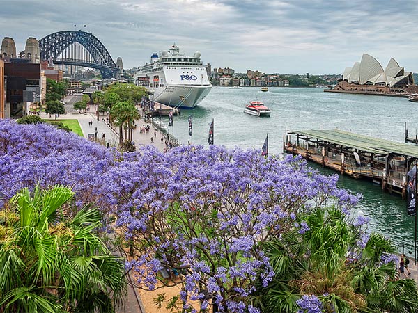 Các cảnh đẹp nổi tiếng ở Úc vào mùa xuân