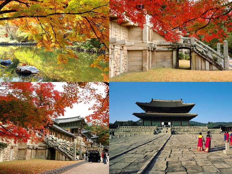 TOP những cảnh đẹp và địa điểm du lịch nổi tiếng tại Hàn Quốc