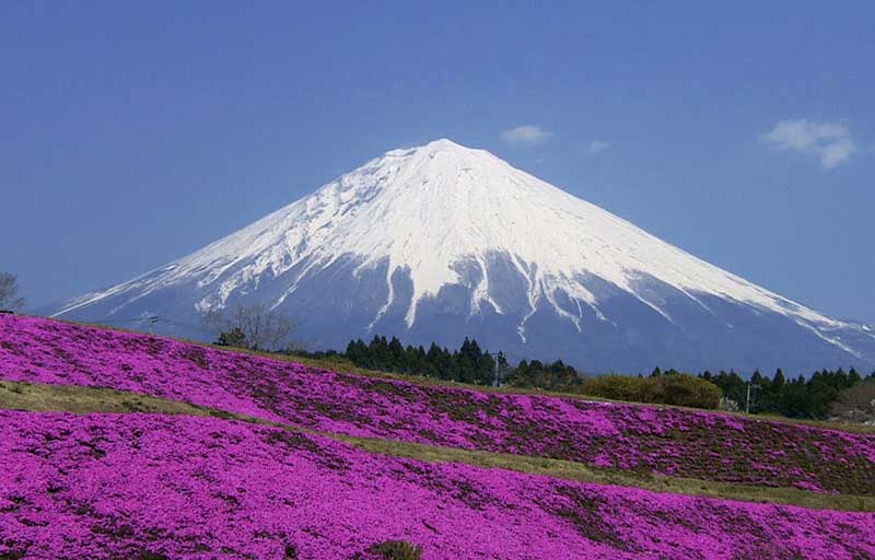 Núi Phú Sĩ linh thiêng dành cho ai đến với du lịch Nhật Bản