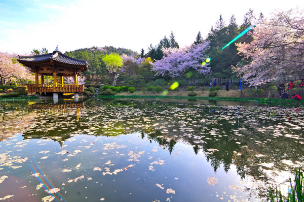 TOP những cảnh đẹp và địa điểm du lịch nổi tiếng tại Hàn Quốc
