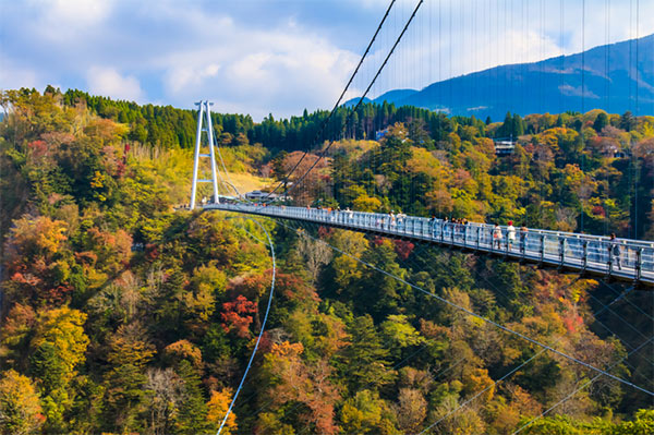 Cầu treo Kokonoe “Yume” ở đảo Kyushu
