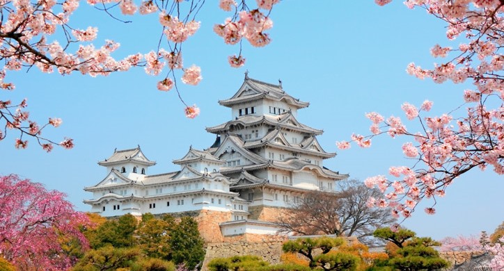 Lâu đài Osaka, điểm du lịch ngắm hoa Anh Đào nổi tiếng Nhật Bản