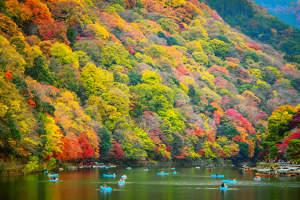 Lãng mạn mùa thu Nhật Bản đẹp ngất ngây - INTERTOUR