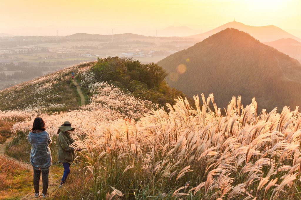 Đảo Jeju là một trong những cảnh đẹp nổi tiếng tại Hàn Quốc