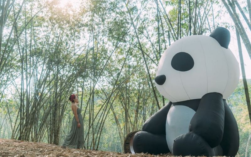 Rừng tre thanh bình ở làng Phổ Đà. Rừng tre thanh bình ở làng Phổ Đà.