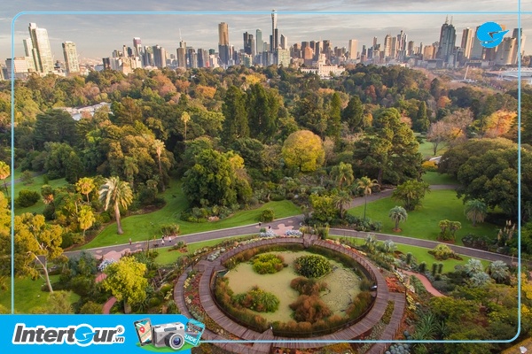 Vườn Bách Thảo (Botanic Garden) khi tham tour Sydney Melbourne