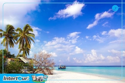 Tour Miền Trung: Nha Trang - Vịnh San Hô 3N3Đ
