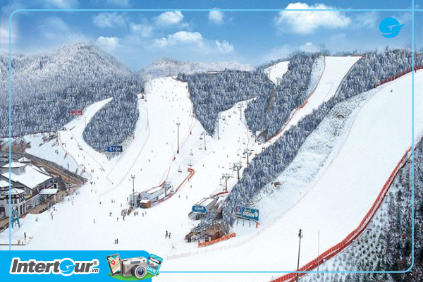 Tour Hàn Quốc trượt tuyết Elysian