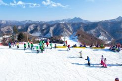 Tour Hàn Quốc trượt tuyết