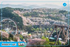 Everland - Tour du lịch Hàn Quốc