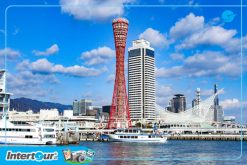 Tour du lịch Nhật Bản - Tokyo 4 ngày