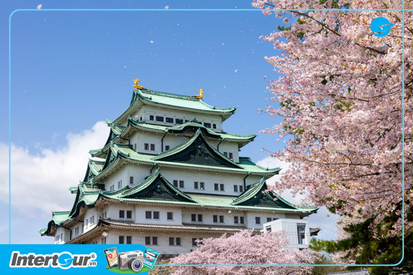 Lâu đài Nagoya - Tour du lịch Nhật Bản
