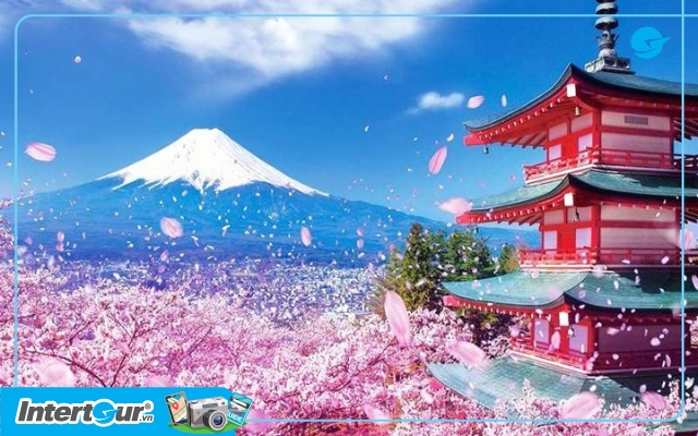 Tour Du Lịch Nhật Bản Giá Rẻ 2023 Hỗ Trợ Visa Đi Nhật Bản Chọn Gói