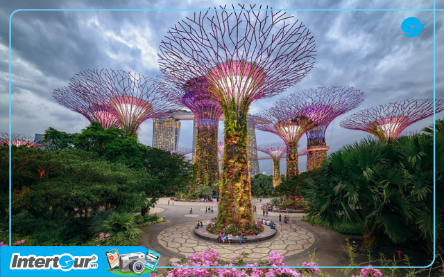 Gardens By The Bay là một điểm đến ấn tượng bậc nhất tại Singapore