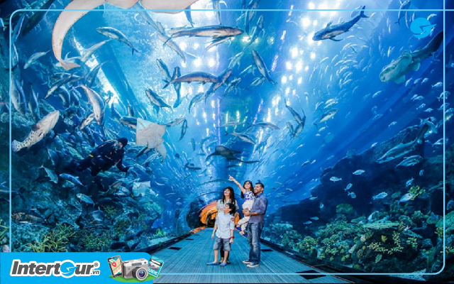 S.E.A Aquarium tại Singapore - Du lịch Singapore
