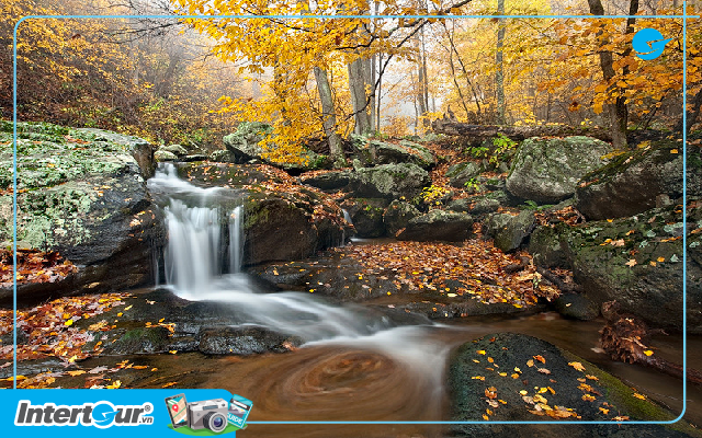 Du lịch Mỹ mùa thu lá đỏ tại công viên quốc gia Shenandoah, Virginia