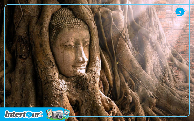 Đầu Đức Phật cổ kính luồn trong rễ cây đa tại Wat Phra Mahathat