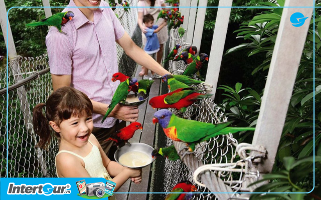 Vườn chim Jurong Singapore đã đóng cửa từ năm 2023