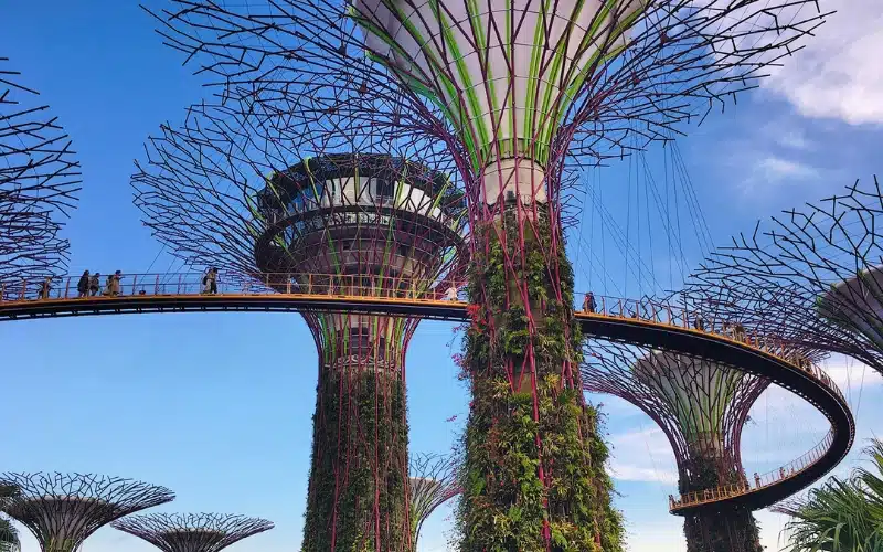 Các "siêu cây" của Gardens by the Bay. Gardens by the Bay