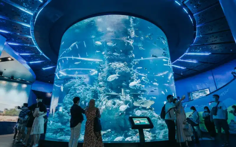Thế giới đại dương bên trong S.E.A Aquarium. Thủy cung S.E.A Aquarium