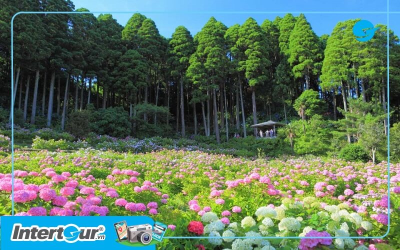 Du lịch Nhật Bản tháng 7