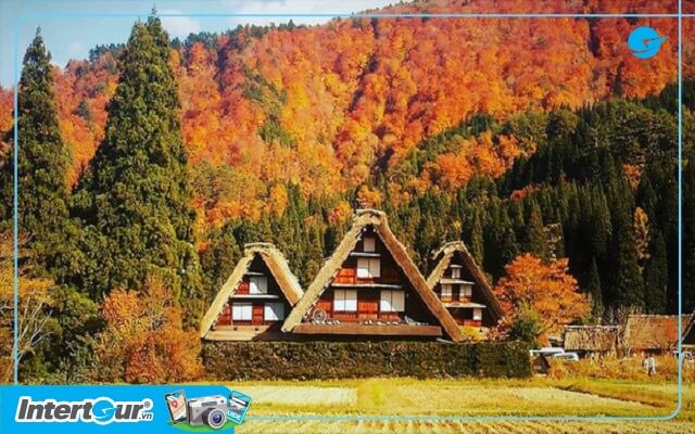 Thời tiết tỉnh Gifu Nhật Bản