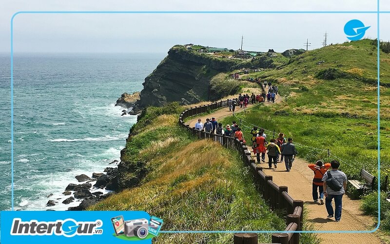 Visa Jeju - du lịch đảo Jeju không cần visa