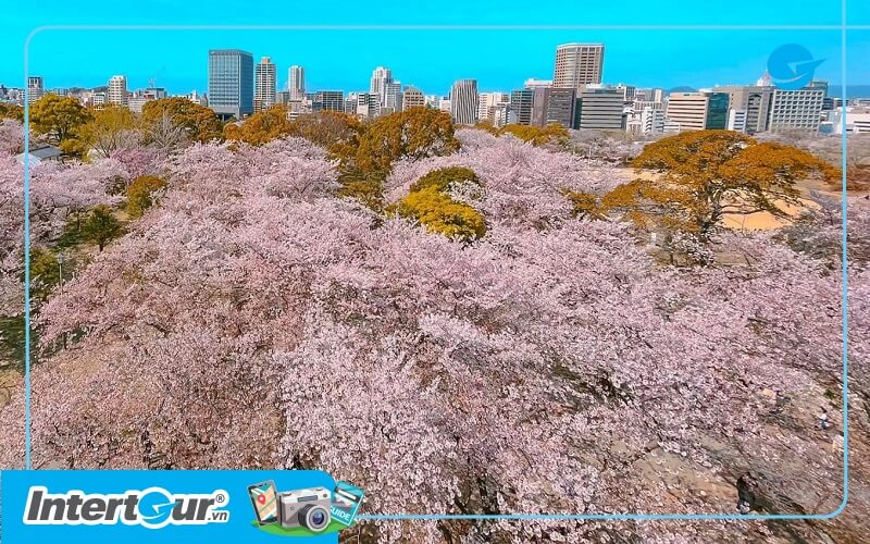 Dự báo thời tiết Nhật Bản Fukuoka