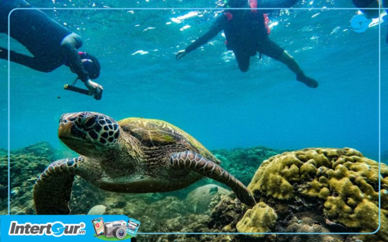 Nhiều khách du lịch thích lặn biển ở Kenting. Nhiều khách du lịch thích lặn biển ở Kenting.