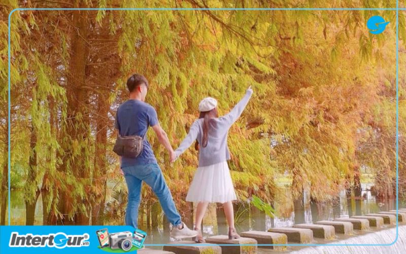 Đài Loan mùa thu là đẹp nhất, tha hồ ngắm cảnh trong tiết trời mát mẻ. Thời tiết Đài Loan vào mùa thu