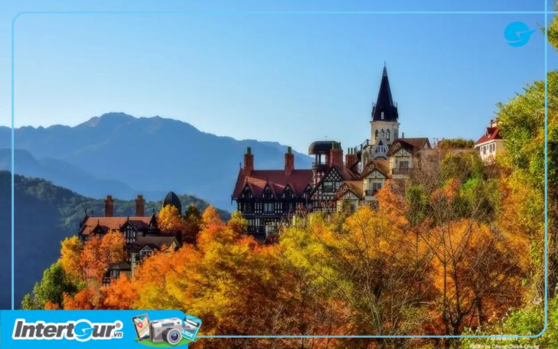 Đến Cingjing Farm trong chuyến du lịch Đài Loan mùa lá đỏ là một sự lựa chọn đúng đắn. Cingjing Farm