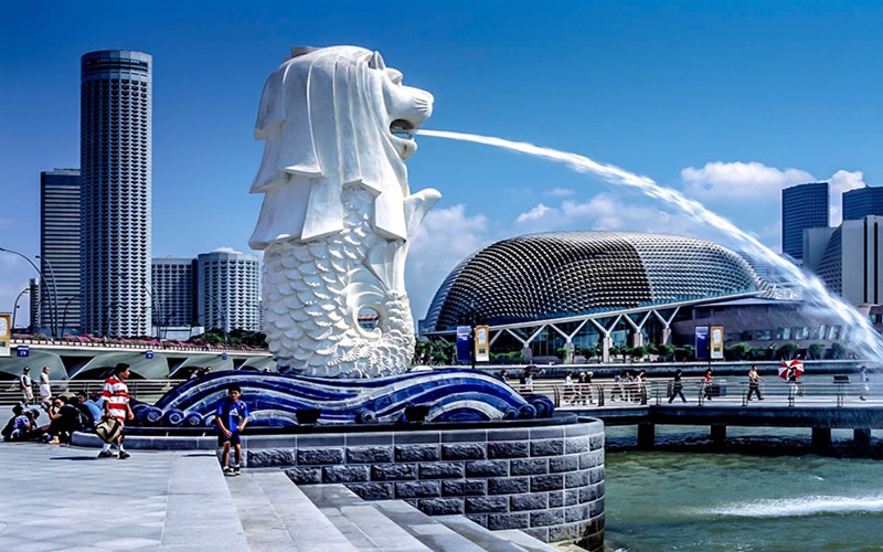 Công viên sư tử biển. Công viên sư tử biển