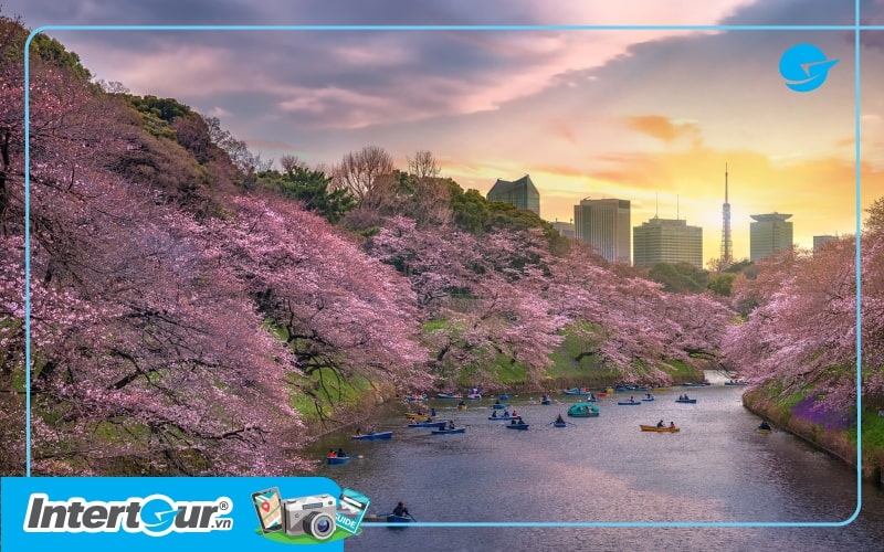 Du lịch “newbie” - Thời tiết Tokyo tháng 4