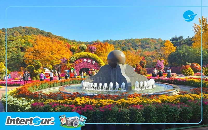 du lịch Hàn Quốc tháng 11