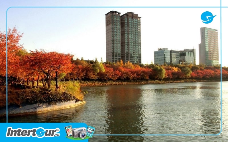 du lịch Hàn Quốc tháng 11