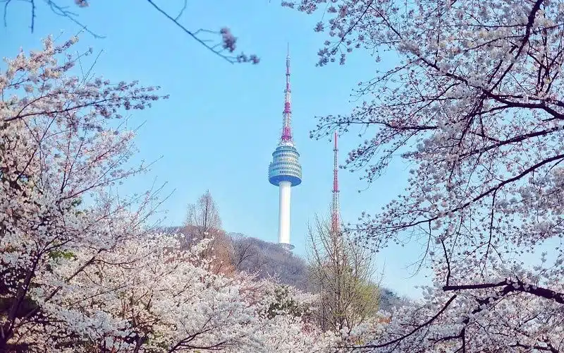 N Seoul Tower Seoul