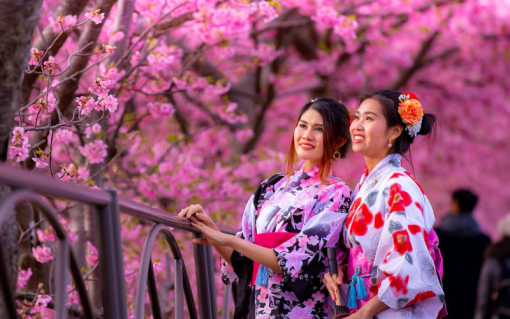 Tour Nhật Bản Tết 2026: Tokyo – Trượt tuyết Fujiten – Kyoto – Osaka