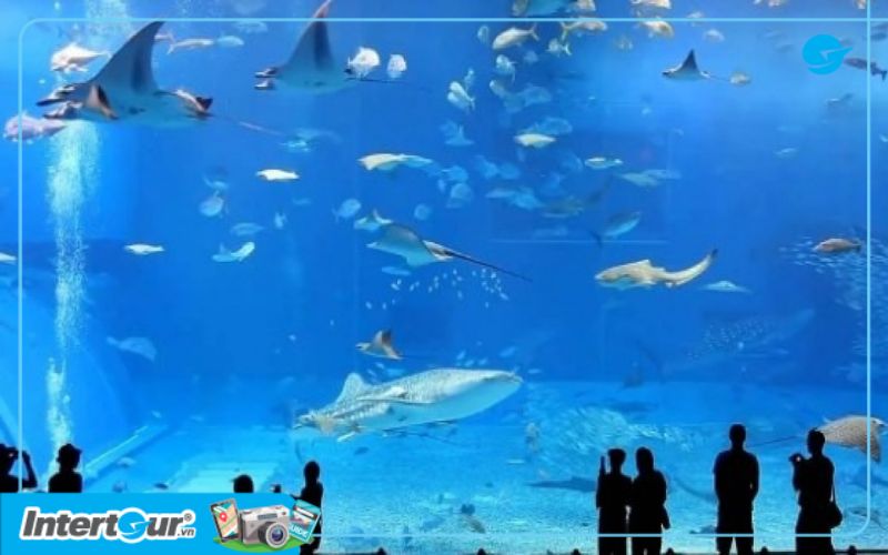 Aqua Planet Jeju
