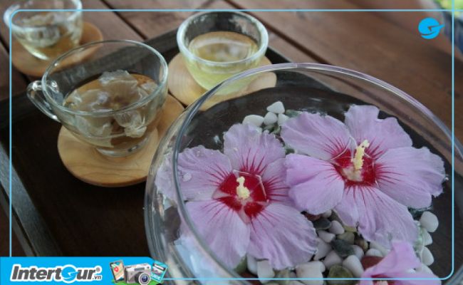 những điều thú vị về hoa mugunghwa