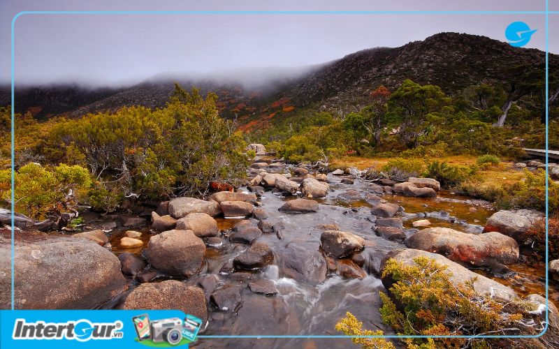 Đảo Tasmania