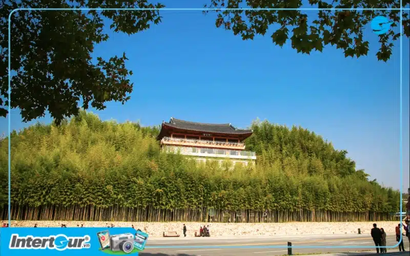 Rừng trúc Juknokwon