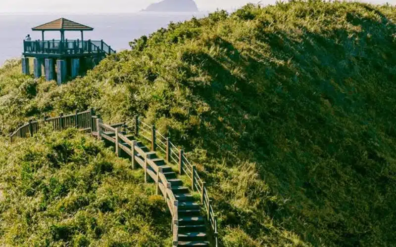 Cây cỏ xanh mướt tại mũi Bitou Cape Park. Cây cỏ xanh mướt tại mũi Bitou Cape Park.