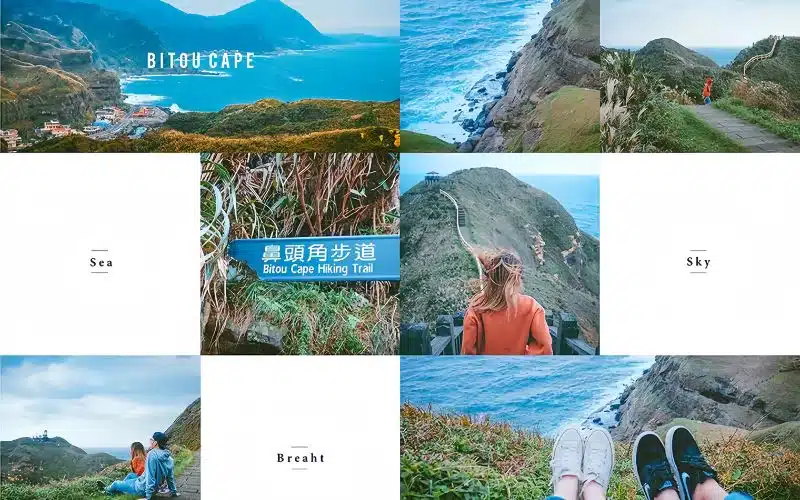 Hãy lưu lại hành trình du lịch Bitou Cape Park bằng những tấm ảnh xịn xò nhé! Hãy lưu lại hành trình du lịch Bitou Cape Park bằng những tấm ảnh xịn xò nhé!