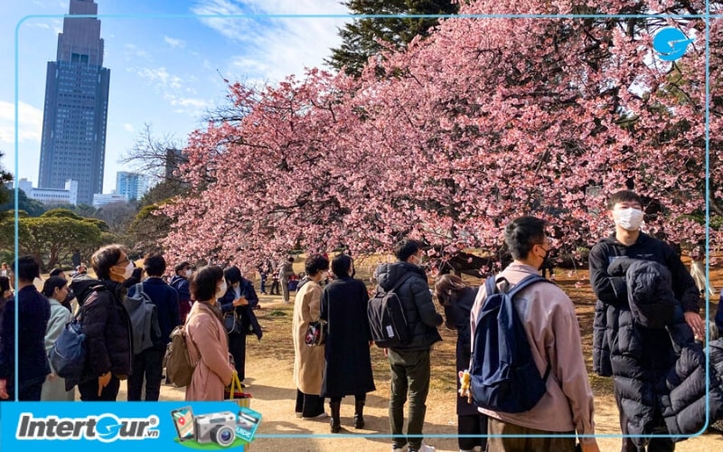 Công viên Shinjuku Gyoen