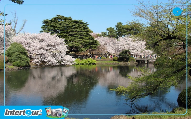 Công viên Shinjuku Gyoen